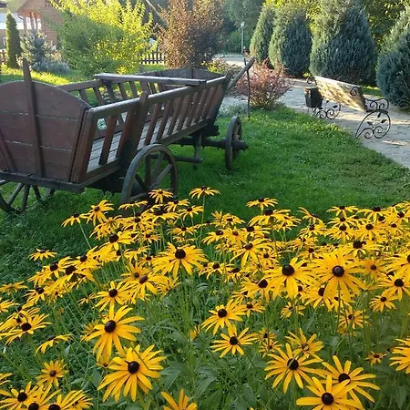 Karpatska Forel Hotell Svaljava