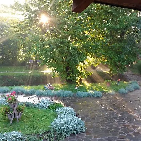 Hotel Karpatska Forel