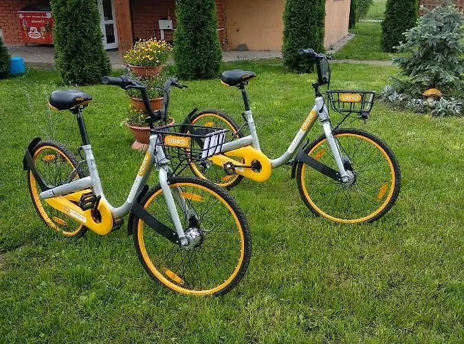 Karpatska Forel * 斯瓦拉瓦