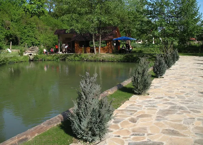 酒店 Karpatska Forel *