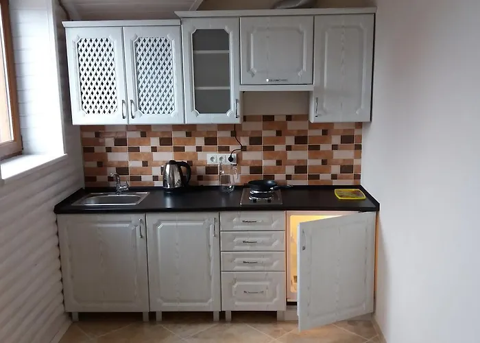 Karpatska Forel 酒店 *